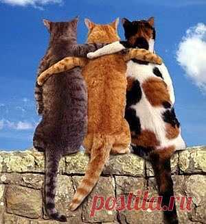 ВЫ чувствуете себя счастливыми рядом с друзьями и близкими? | НАШ ГОРОДОК