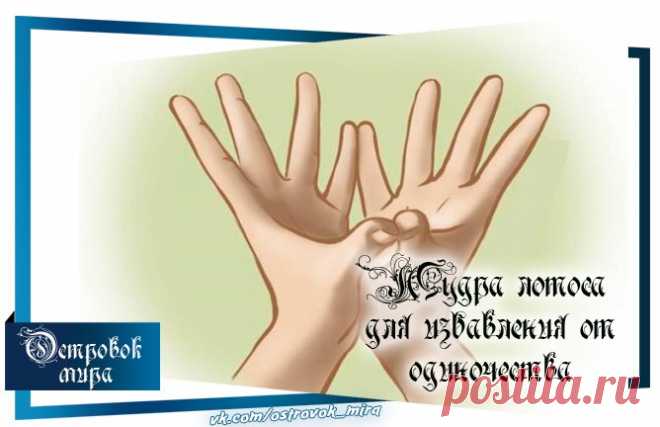 Мудра лотоса для избавления от одиночества.

Лотос - прекрасный и самый необычный цветок. Он появляется в довольно мутной воде, а ночью его лепестки закрываются и он погружается в воду. Однако, когда лотос распускается вновь (рано утром), грязь от воды совершенно не портит его.
Показать полностью…
