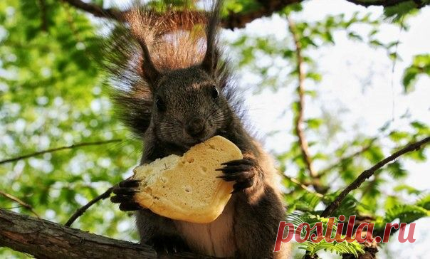 Мой Мир@Mail.Ru
