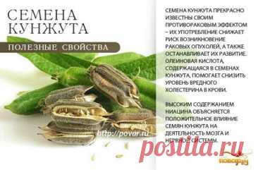 Семена кунжута полезные свойства