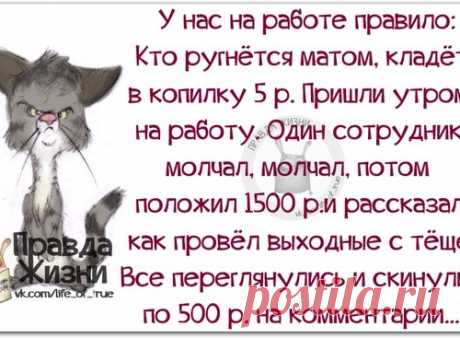Позитивные фразочки в картинках для хорошего настроения
