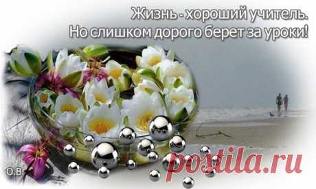 Новости