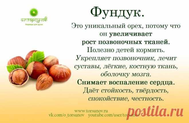 Фундук