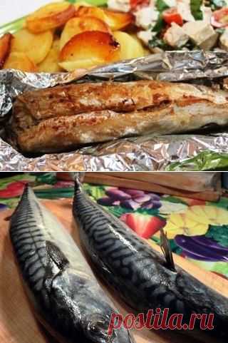 Скумбрия горчичная