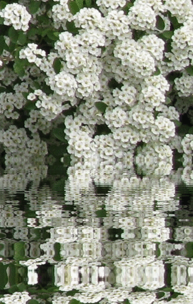 Факты из психологии, которые многое объясняют: – 