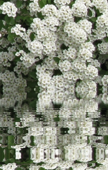 Факты из психологии, которые многое объясняют: – """ИНТЕРЕСНЫЙ БЛОГ", пользователь Ириша Романова | Группы Мой Мир