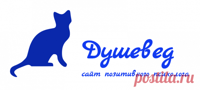 dyshevedcom