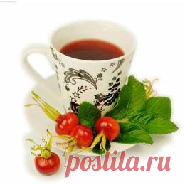 Вкусный и полезный шиповник - целебные рецепты | Надежда