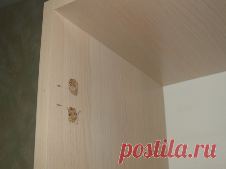 Как я ремонтирую вырванные с корнем петли своими руками - медиаплатформа МирТесен