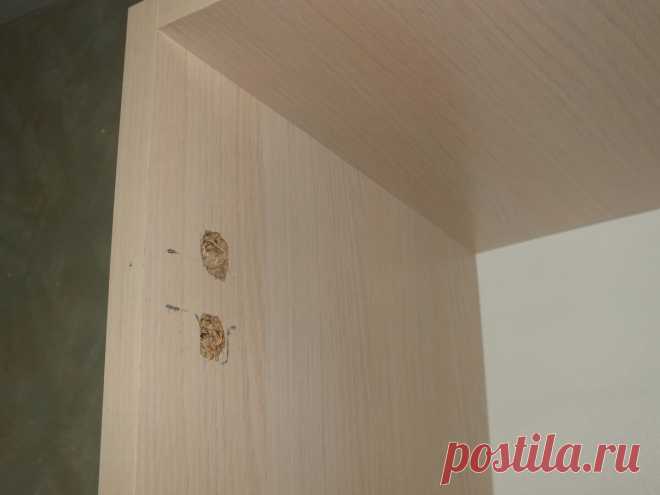 Как я ремонтирую вырванные с корнем петли своими руками - медиаплатформа МирТесен