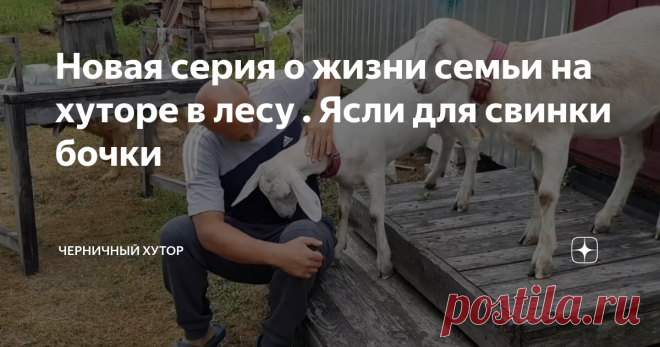 Новая серия о жизни семьи на хуторе в лесу . Ясли для свинки бочки