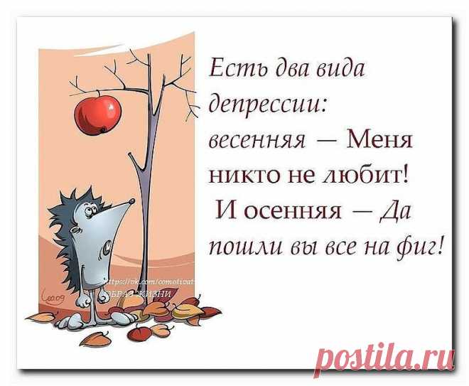 ЕЛЕНА ОСТРОВСКАЯ (Кабанова)
42 года, Россия, ВОРОНЕЖ