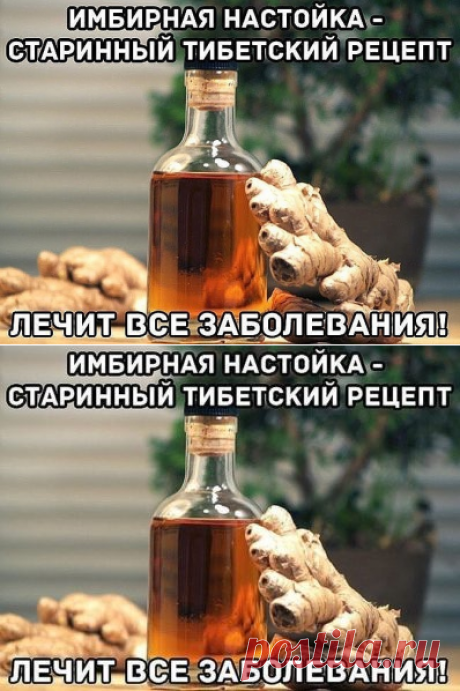 Готовим вкусно - Старинный тибетский рецепт имбирной настойки