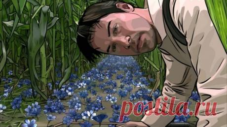 10 ошеломительно красивых фильмов, которые заставят время остановиться — FunnyReps