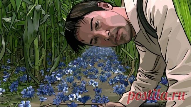 10 ошеломительно красивых фильмов, которые заставят время остановиться — FunnyReps