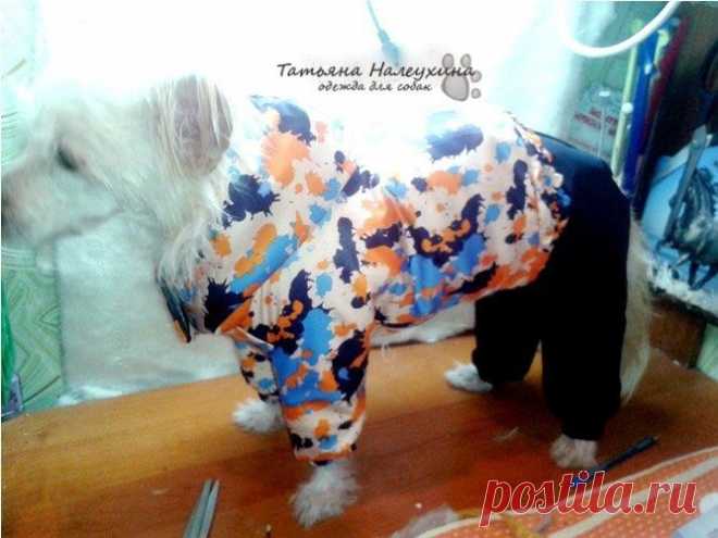 МК Шьем зимний костюм для собаки .Часть2 куртка.