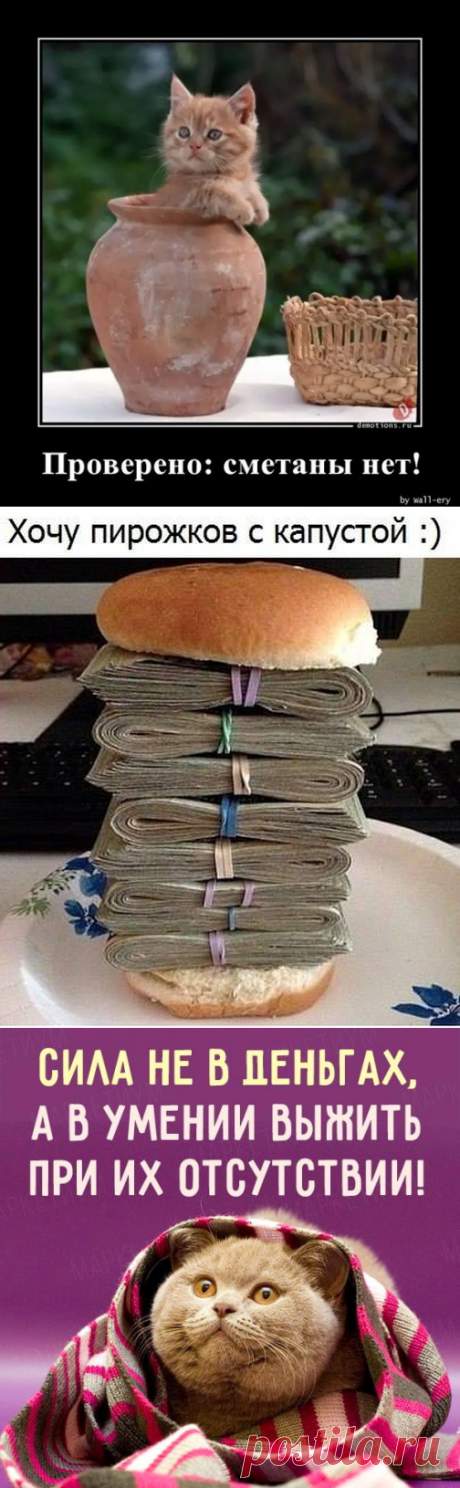 Юмор-25 – Блог. Run, пользователь Марина Николаева | Группы Мой Мир