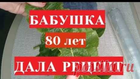 СНИМАЕТ БОЛЬ за 2 часа!!!НАРОДНОЕ Средство от Артрита и Артроза helen marynina | helen marynina | Дзен