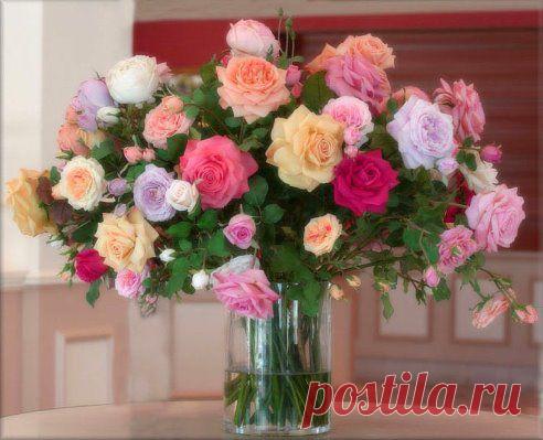 Вся красота цветка заключается в его неповторимости.