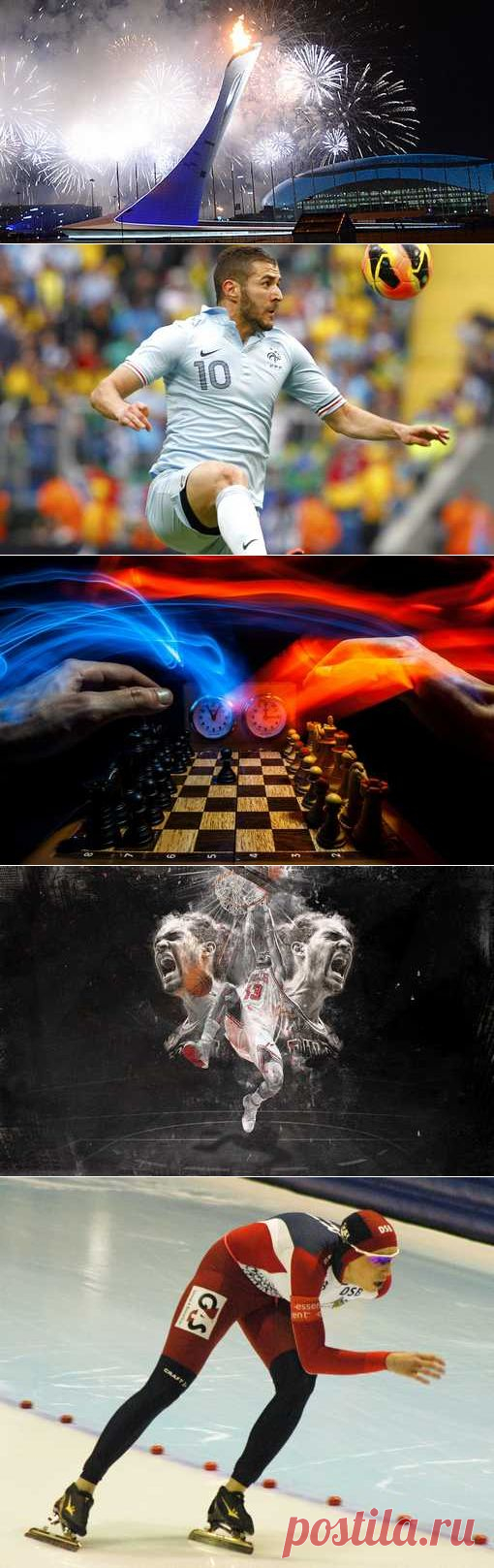 Гребля академическая, Капоэйра, Фистбол, Подводное фотографирование. (1/1) - Спортивный форум. - Спортивный сайт