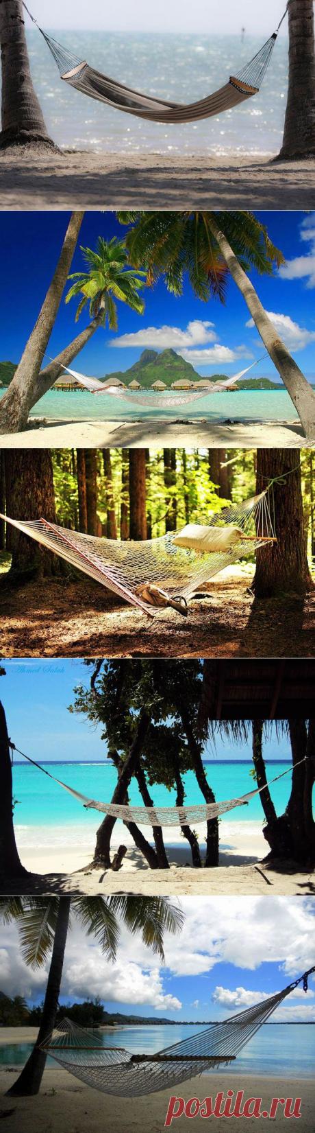 Идеальные места для гамаков / Туристический спутник