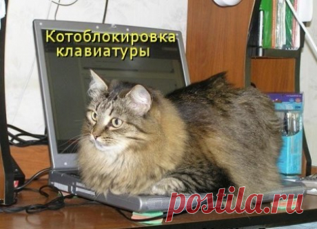)))