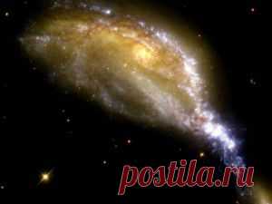 Удар BRICS-ом в пах Америке | ВПЕРЁД, ! Новостной патриотический сайт