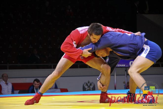 Картинки «Самбо» (38 фото) ⭐ Забавник