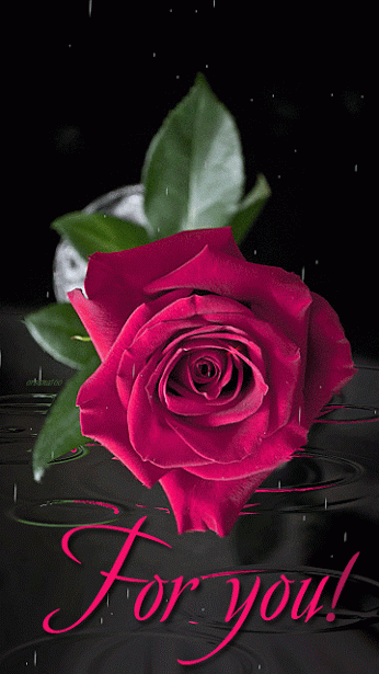 Google+  |  Pinterest • Всемирный каталог идей