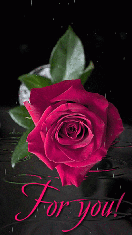Google+  |  Pinterest • Всемирный каталог идей