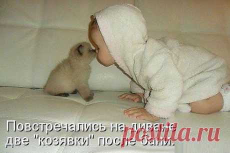 (48) Одноклассники