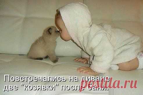 (48) Одноклассники