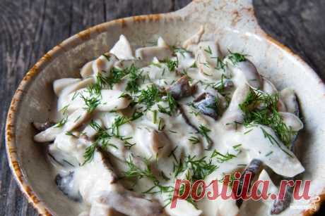 Моховики со сметаной - рецепт с фото на Повар.ру