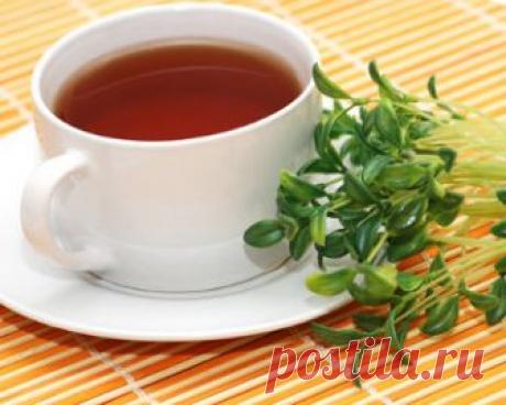 Лекарственные травы и травяные сборы для похудения