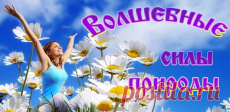 Волшебные силы природы/Сайт &quot;Аура волшебства&quot;