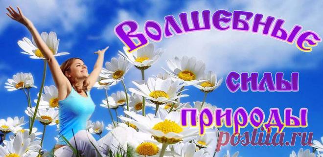 Волшебные силы природы/Сайт "Аура волшебства"