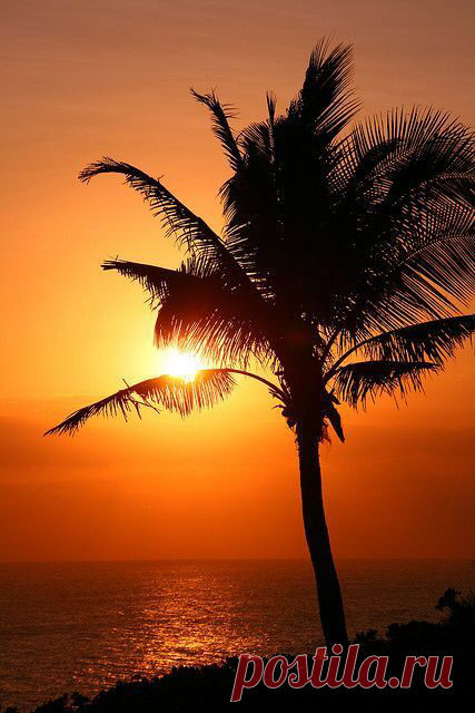 World¶dise — rime-s: Miami Florida