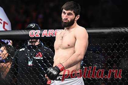 Поединок с участием Анкалаева в UFC завершился потасовкой. Поединок между российским бойцом смешанного стиля (MMA) Магомедом Анкалаевым и бразильцем Джонни Уокером на турнире UFC 294 был признан несостоявшимся. В конце первого раунда поединок был остановлен, однако бойцы выразили желание продолжать поединок, из-за чего в октагоне началась потасовка.