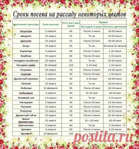 Дачный советник