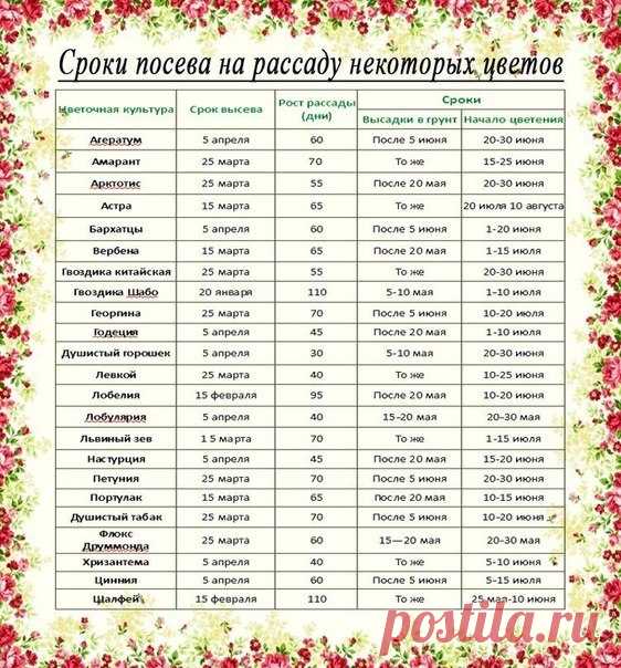 Дачный советник