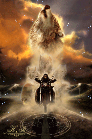 Grande Lobo – Сообщество – Google+