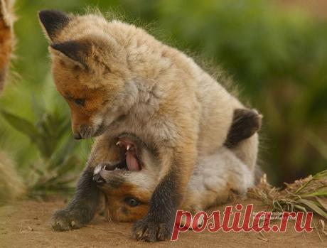 Мой Мир@Mail.Ru