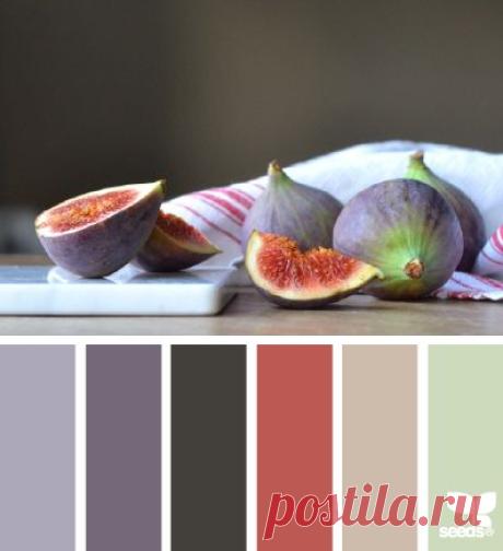 design seeds | for all who ♥ color