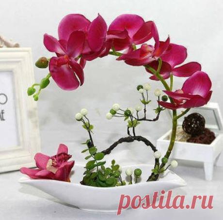 Как правильно поливать комнатную орхидею | Helperia.ru | Яндекс Дзен