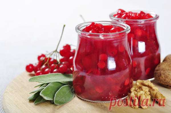 Вкусные рецепты из калины