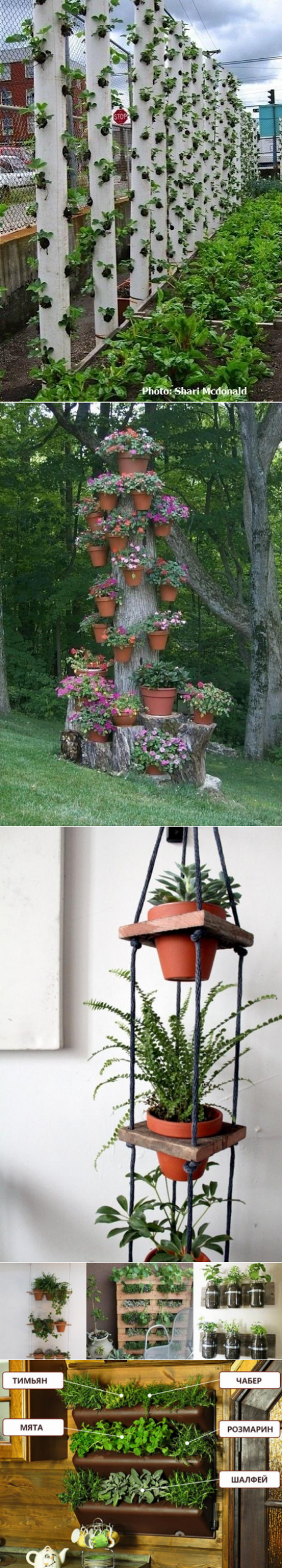 Вертикальные грядки: 10 идей создания вертикальных грядок своими руками