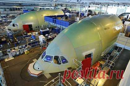 Семейство енотов пробралось на завод и парализовало производство самолетов Airbus