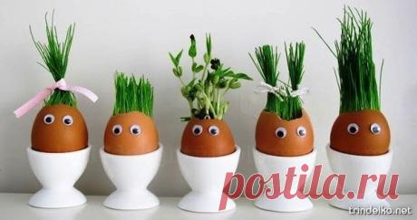 Мой Мир@Mail.Ru