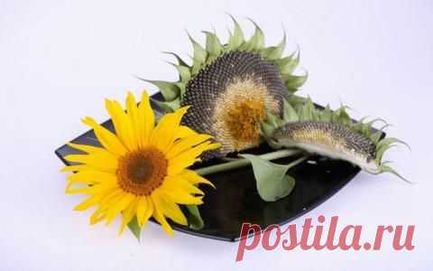 Проверенный годами рецепт от повышеного давления