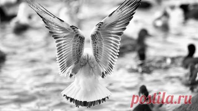 15 вещей, о которых вы не обязаны отчитываться